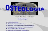 02-Osteologia Aula 3