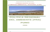 Politica Regional Del Ambiente.pdf