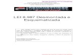 Lei 8.987 Desmontado PDF