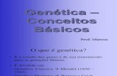 genetica conceitos  basicos 3º ano
