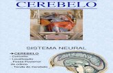 Cerebelo + Cérebro- 2007 1 OK