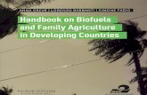 Handbook Energizing: Manual sobre Biocombustíveis e agricultura familiar nos países em desenvolvimento