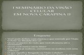 I SEMINÁRIO DA VISÃO CELULAR 2 (2)