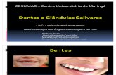 Dentes e Glandulas Salivares Slides Oficial-1