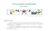Coluna Dorsal