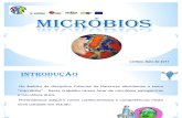 Micróbios úteis e prejudiciais