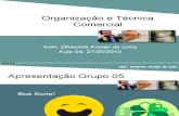 Aula 06 de 07 - Organização e Técnica Comercial (27-05-10)