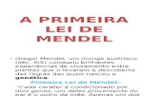 Biologia PPT - A primeira Lei de Mendel