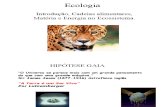Biologia PPT - Ecologia - Cadeia Alimentar Hipótese Gaia