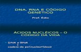 Biologia PPT - DNA e RNA