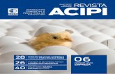 Revista ACIPI - Nº 117