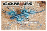 JORNAL CONVÉS - Nº 62 - FEVEREIRO 2013