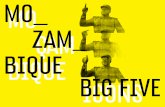 Big Five icons Mozambique