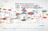 Princípios de Sistemas de Informação - Tradução da 11ª edição norte-americana