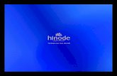 Plano de Marketing Hinode - 2015