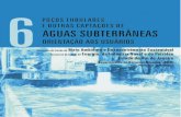 Planágua 06 - Poços Tubulares e outras captações de Águas Subterrâneas