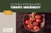 Como produzir tomate orgânico