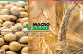 Catálogo Macro Seed Argentina