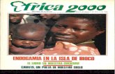 Num. 9 Africa 2000