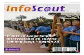 InfoScout Nº283