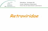 RETROVÍRUS - Retroviridae