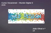 Web design joao olival