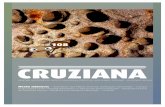 E-Magazine Cruziana 108 (pt)