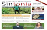 Jornal Sintonia