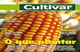 Grandes Culturas - Cultivar 147