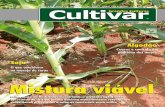 Grandes CUlturas - Cultivar 175