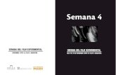 Catálogo Semana 4. Semana del Film Experimental. La Plata 2014. Argentina.