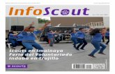 InfoScout Nº293