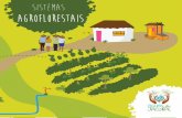 Cartilha Sistemas Agroflorestais - Projeto Águas do Jacuípe