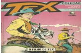 Tex #21 (colecao)- O filho de Tex