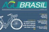 AGU Brasil Virtual - N 41