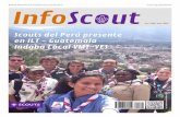 InfoScout Nº300