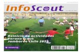 InfoScout Nº301