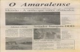 Jornal O Amaralense (Senador Amaral - MG) 1993