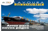 Revista Lavoura Arrozeira 365