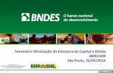 BNDES: Seminário Otimização Estrutura de Capital e dívida