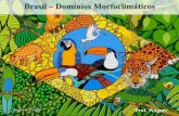 Geografia do Brasil - Domínios morfoclimáticos