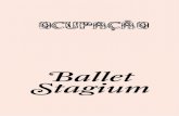 Ocupação Ballet Stagium