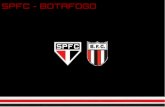 Botafogo 100
