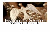 Livro do espírito santo da Santa Cruz 2016