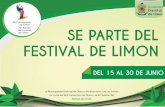 Brochure Festival del Limón 2016