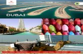 Travel Tips | Dubai (Port.)