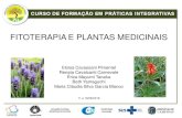 Apresentação Fitoterapia e Plantas Medicinais