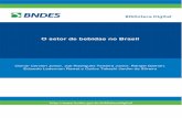 O setor de bebidas no Brasil - BNDES