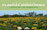 Cartilha Informativa do Projeto Plantas Medicinais (pdf / 2,68 MB)