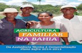 declarado pela onu, 2014 é o ano internacional da agricultura familiar
